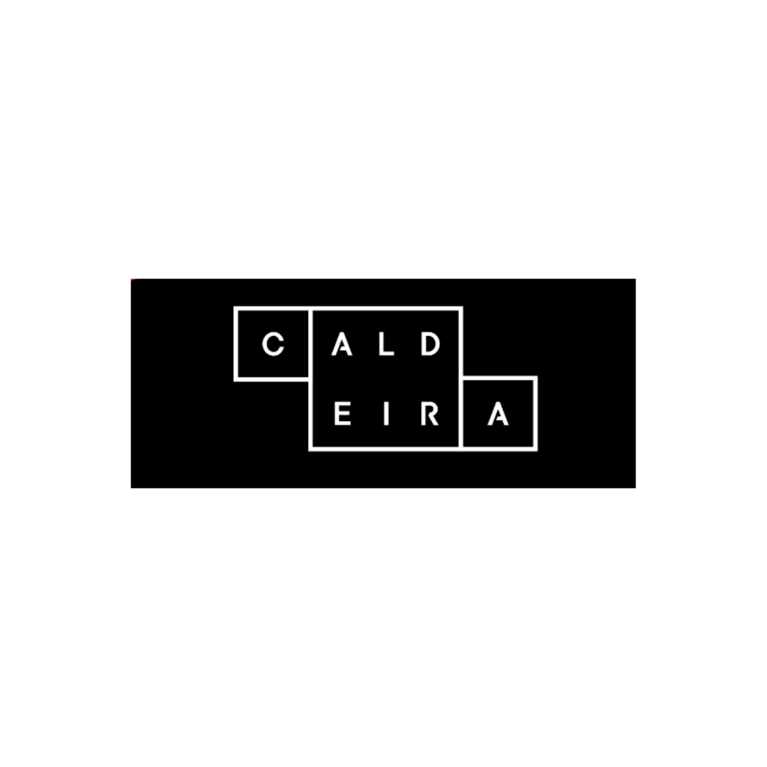 LOGO INSTITUTO CALDEIRA